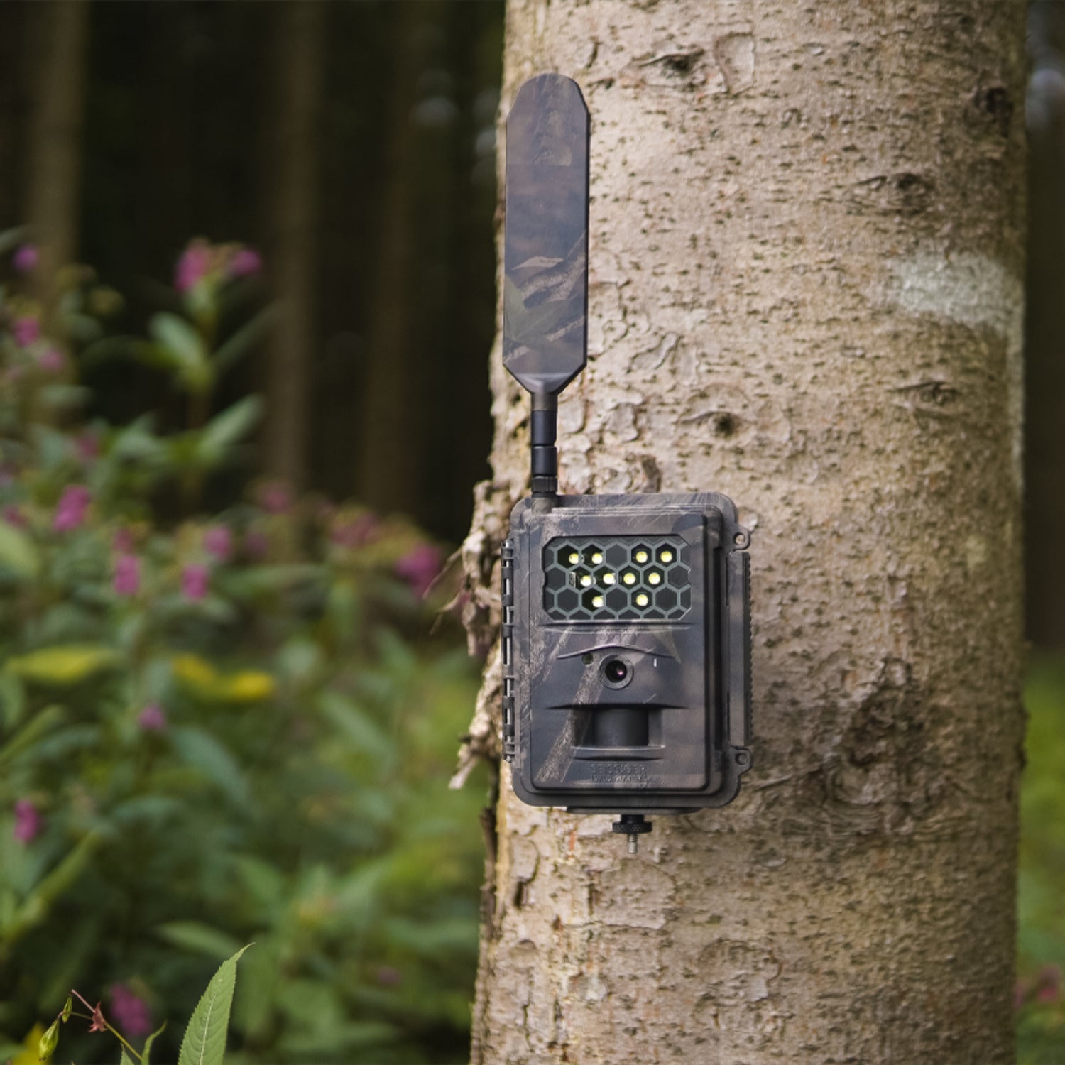 seissiger-special-cam-lte-wildkamera-wei-blitz-supersim-edition image 4