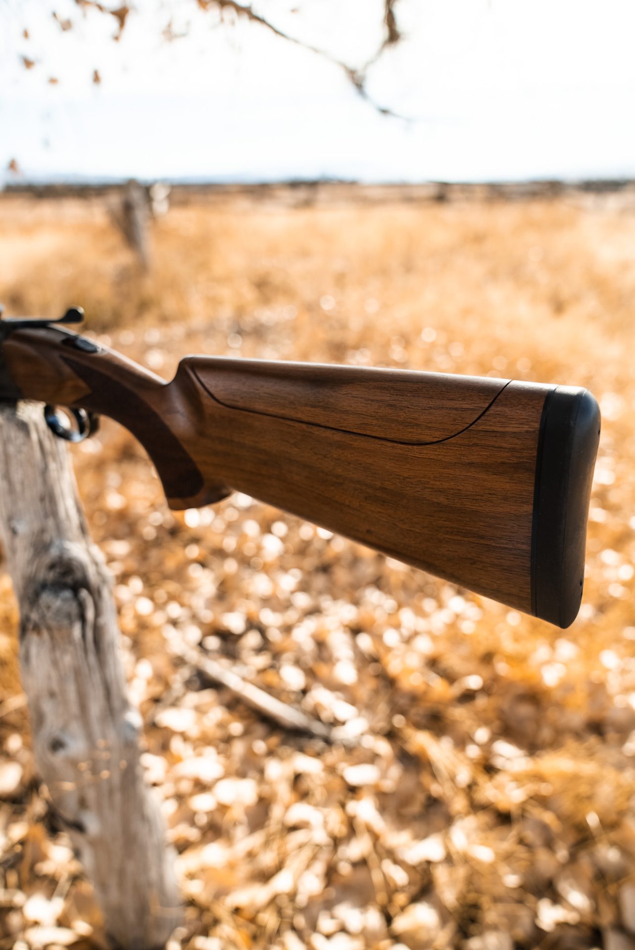 fierce-alpha-bockflinte-12ga-sporting-chokes-koffer image 6