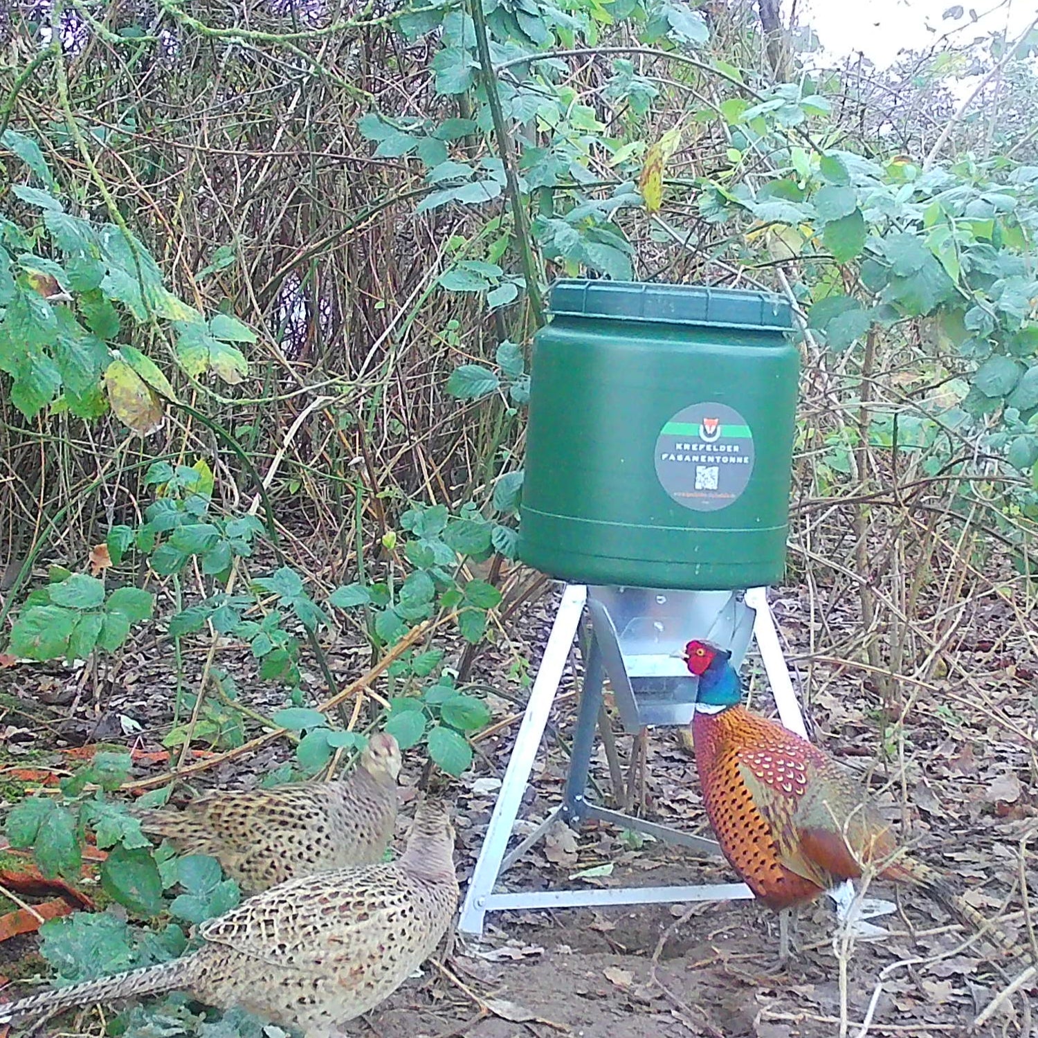 krefelder-fasanentonne-pro-futtertonne-40-liter-mit-rehwildschutz image 6