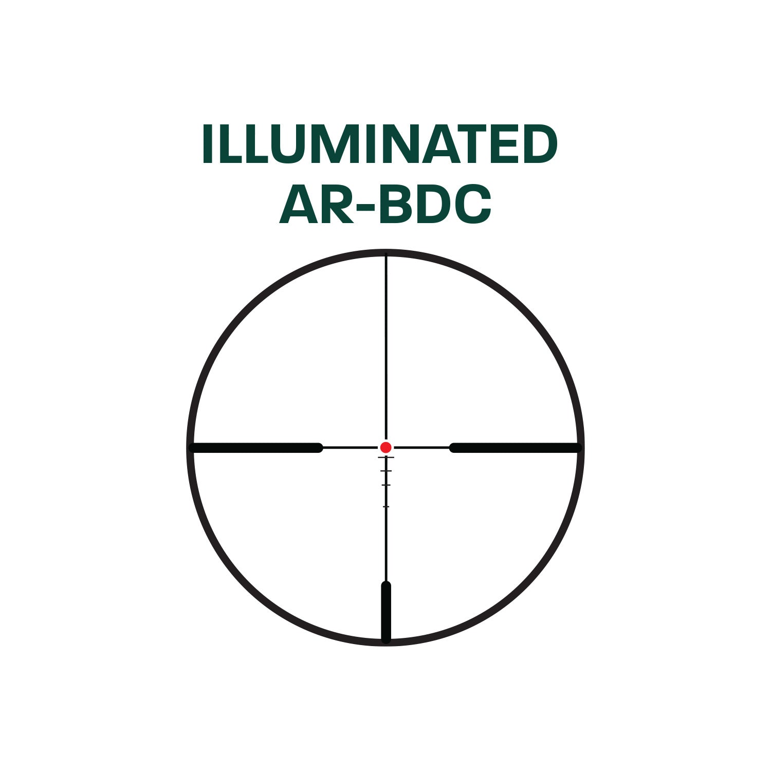 alpen-apex-1-6x24-zielfernrohr-30mm-dr-ckjagd image 3