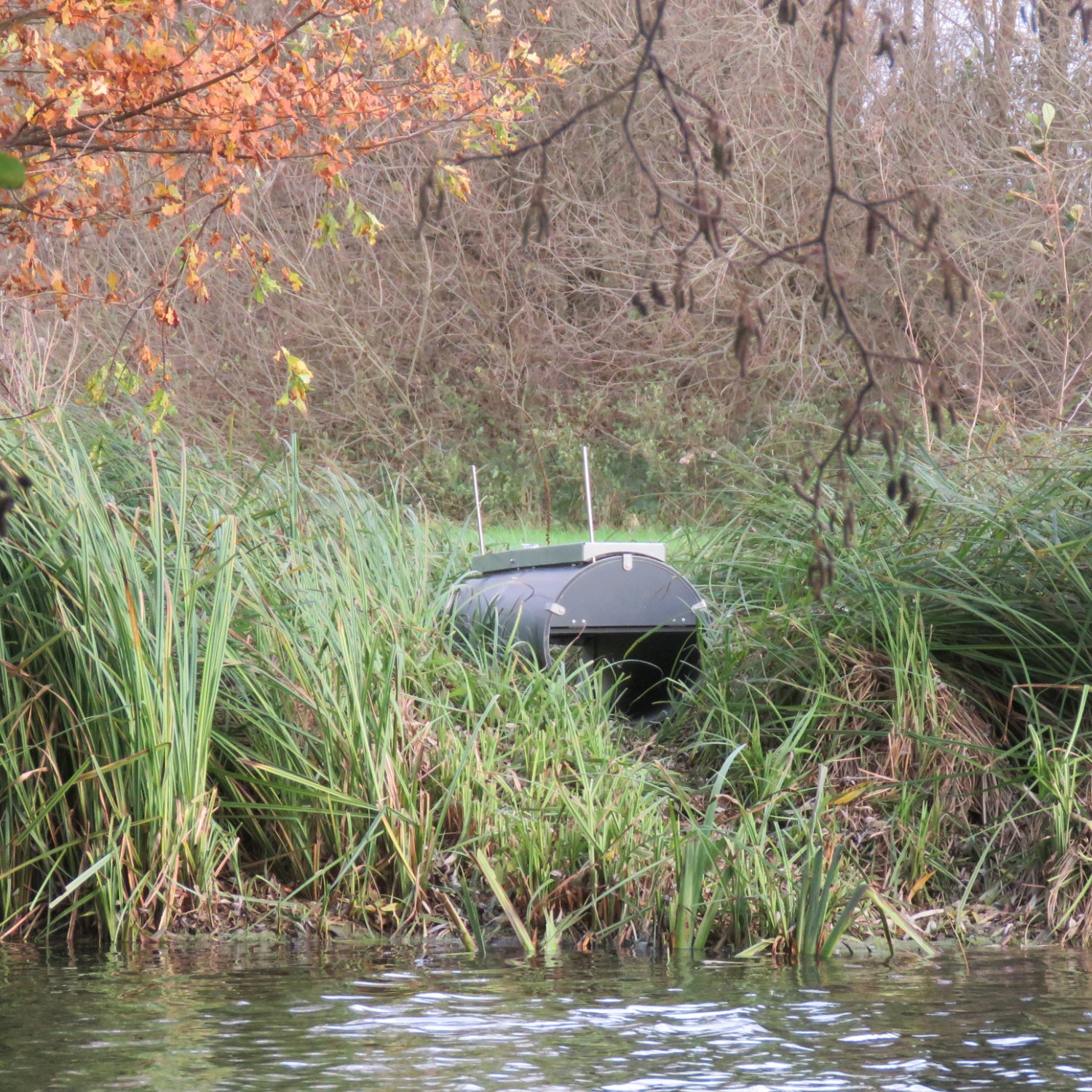 krefelder-weka-invasiv-pro-lebendfalle-1-5-m-trittbrett image 3